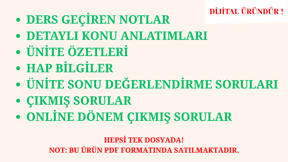 Birinci Dünya Savaşi'nda Türk Cepheleri